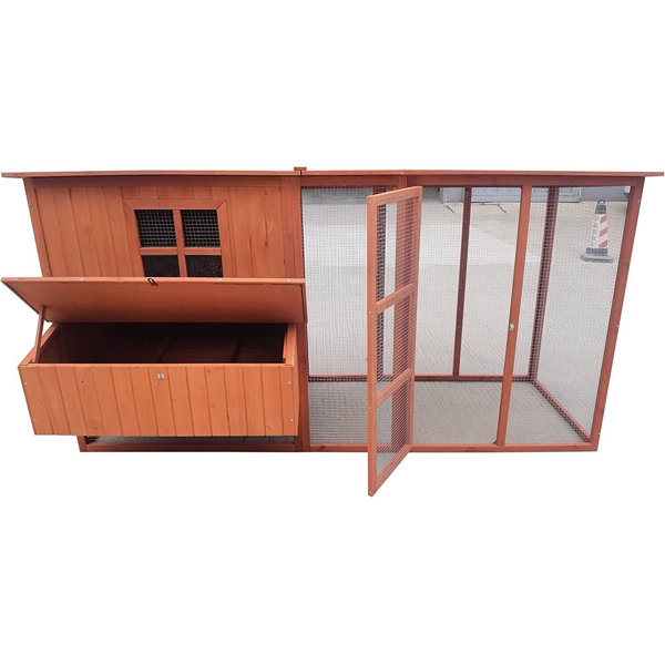 Tucker Murphy Pet™ Daliyah 18.2 Square Feet Chicken Coop with Chicken